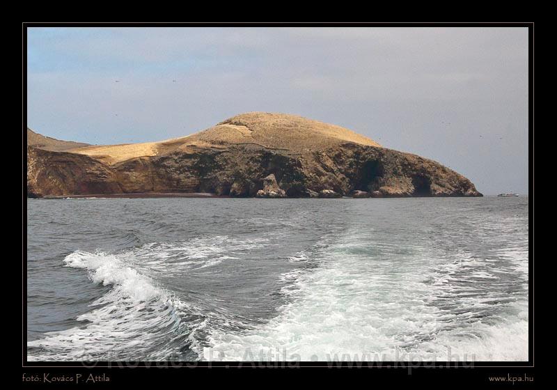 Ballestas Islands 052.jpg